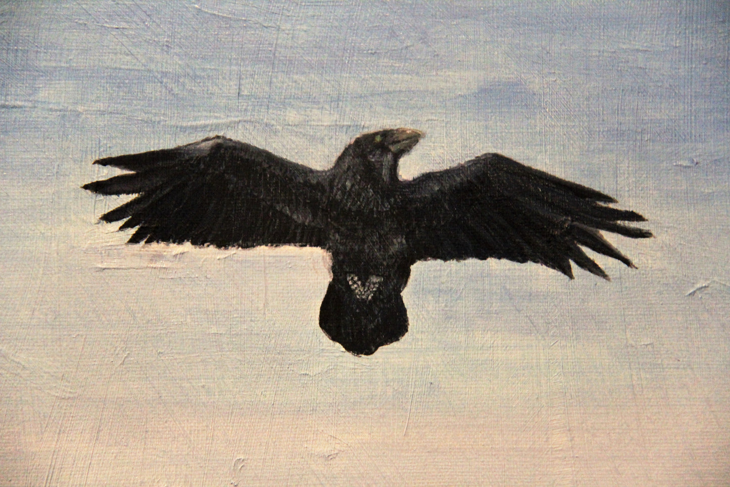 Raven over the ocean